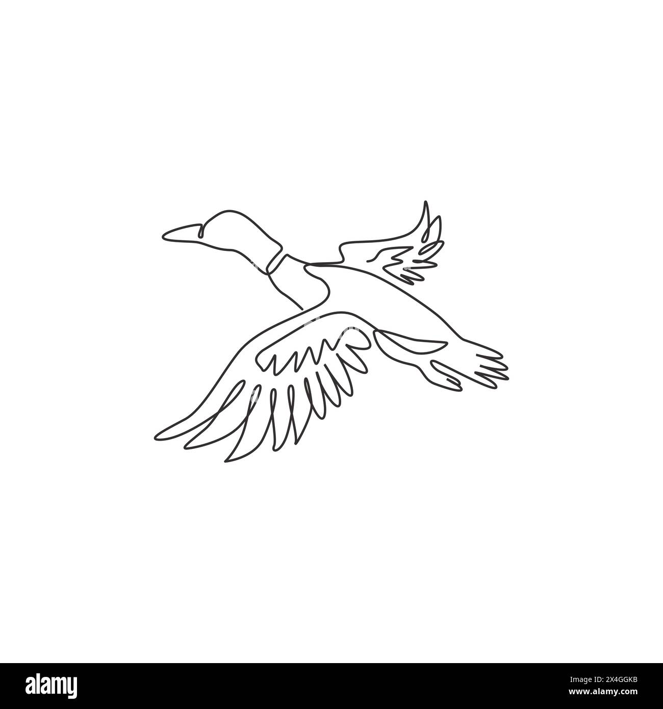 Single one line drawing of adorable flying mallard duck for company logo identity. Beauty duck mascot concept for animal husbandry icon. Modern contin Stock Vector