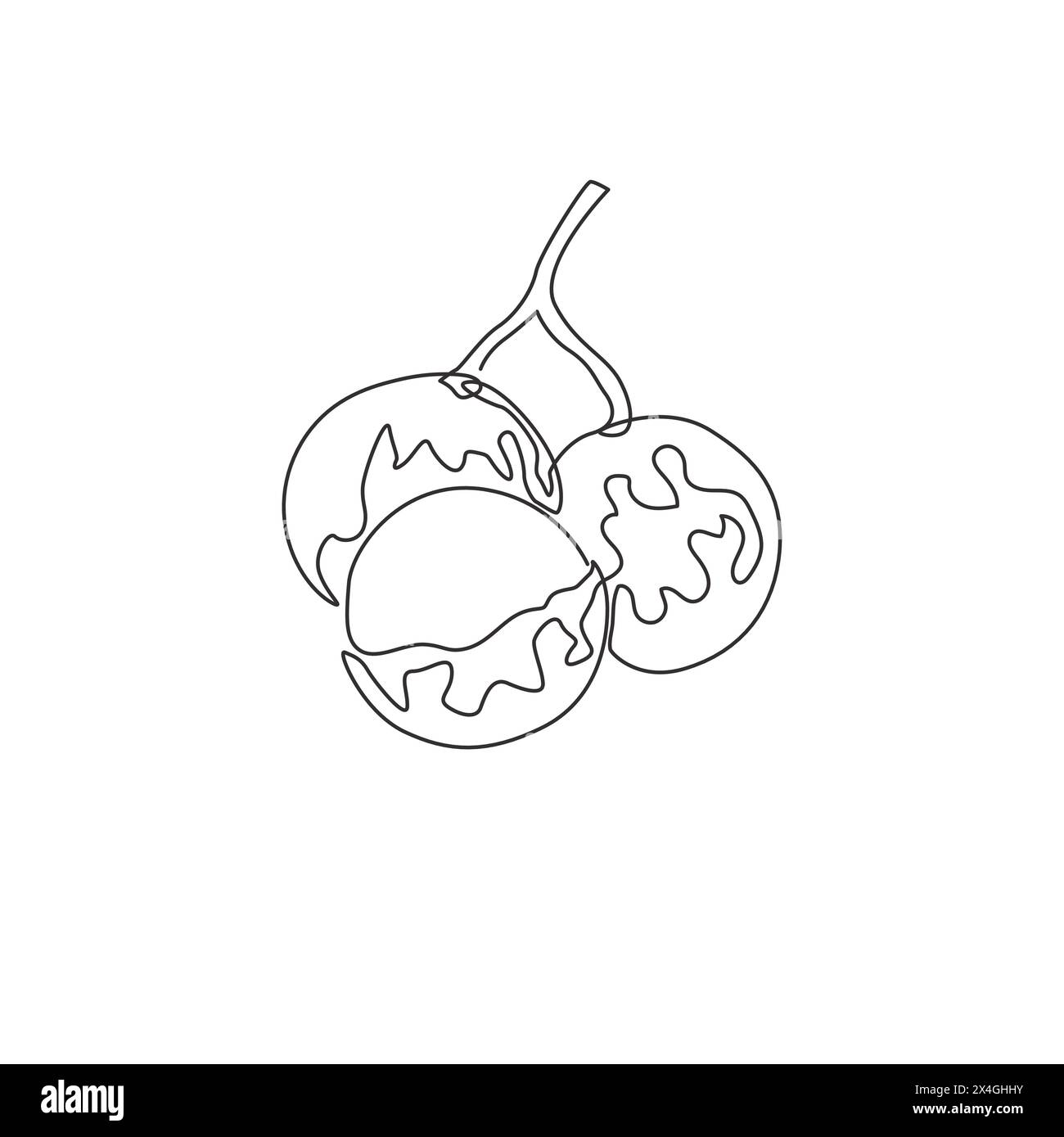 One single line drawing of whole and cut healthy organic longan for orchard logo identity. Fresh fruitage concept for fruit garden icon. Modern contin Stock Vector