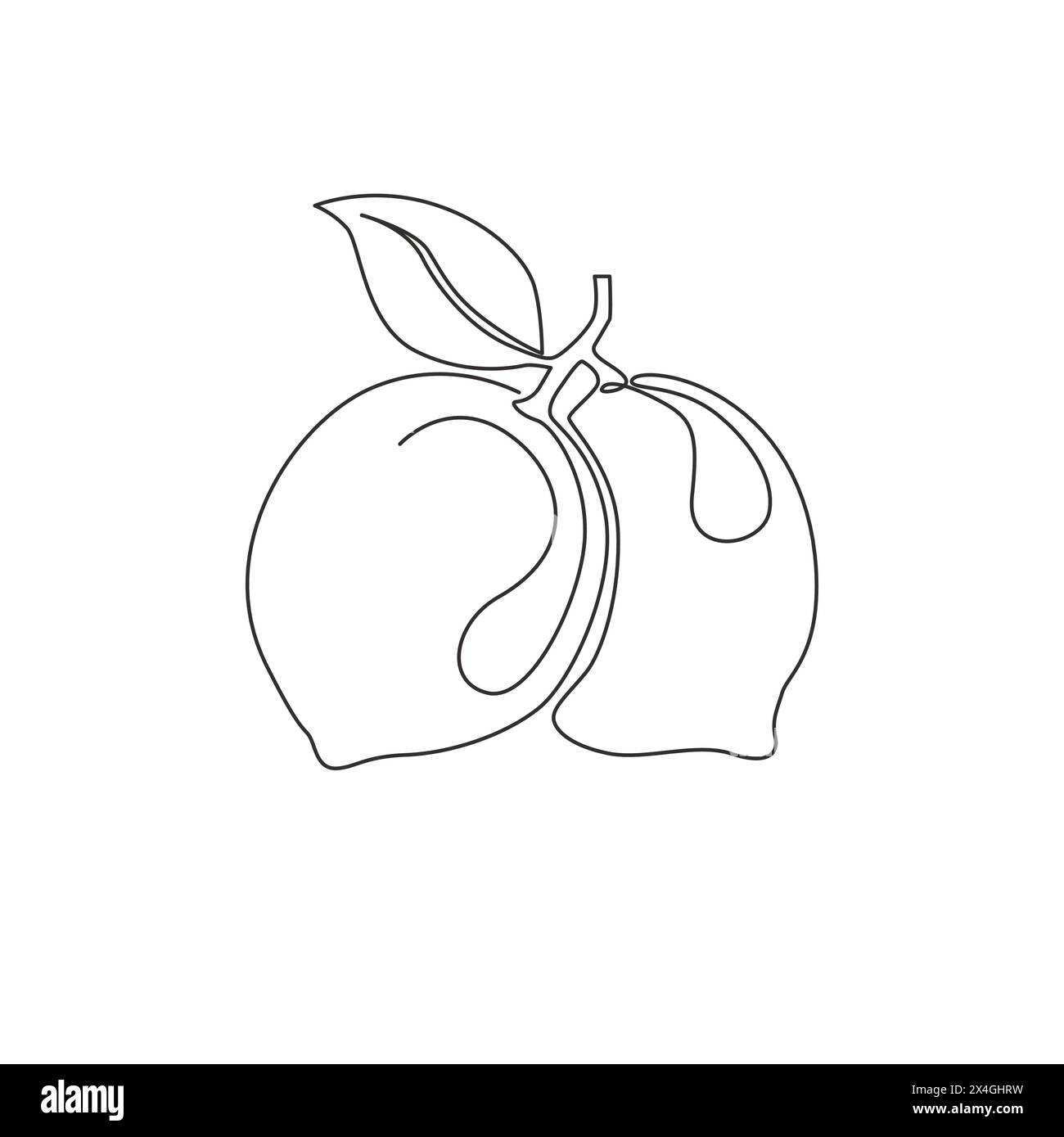 One continuous line drawing of whole healthy organic lemon for orchard ...