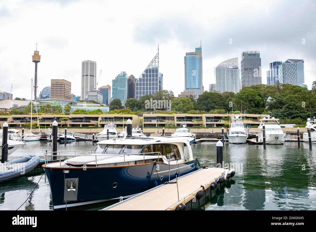 Sydney city centre and high rise office buildings including Sydney Westfield tower, viewed from Woolloomooloo wharf and marina, Sydney,NSW,Australia Stock Photo