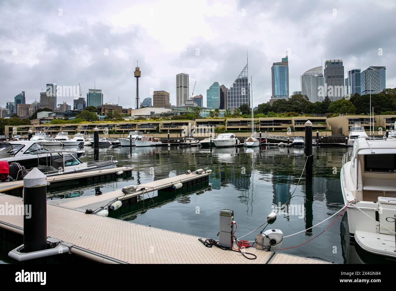 Sydney city centre and high rise office buildings including Sydney Westfield tower, viewed from Woolloomooloo wharf and marina, Sydney,NSW,Australia Stock Photo