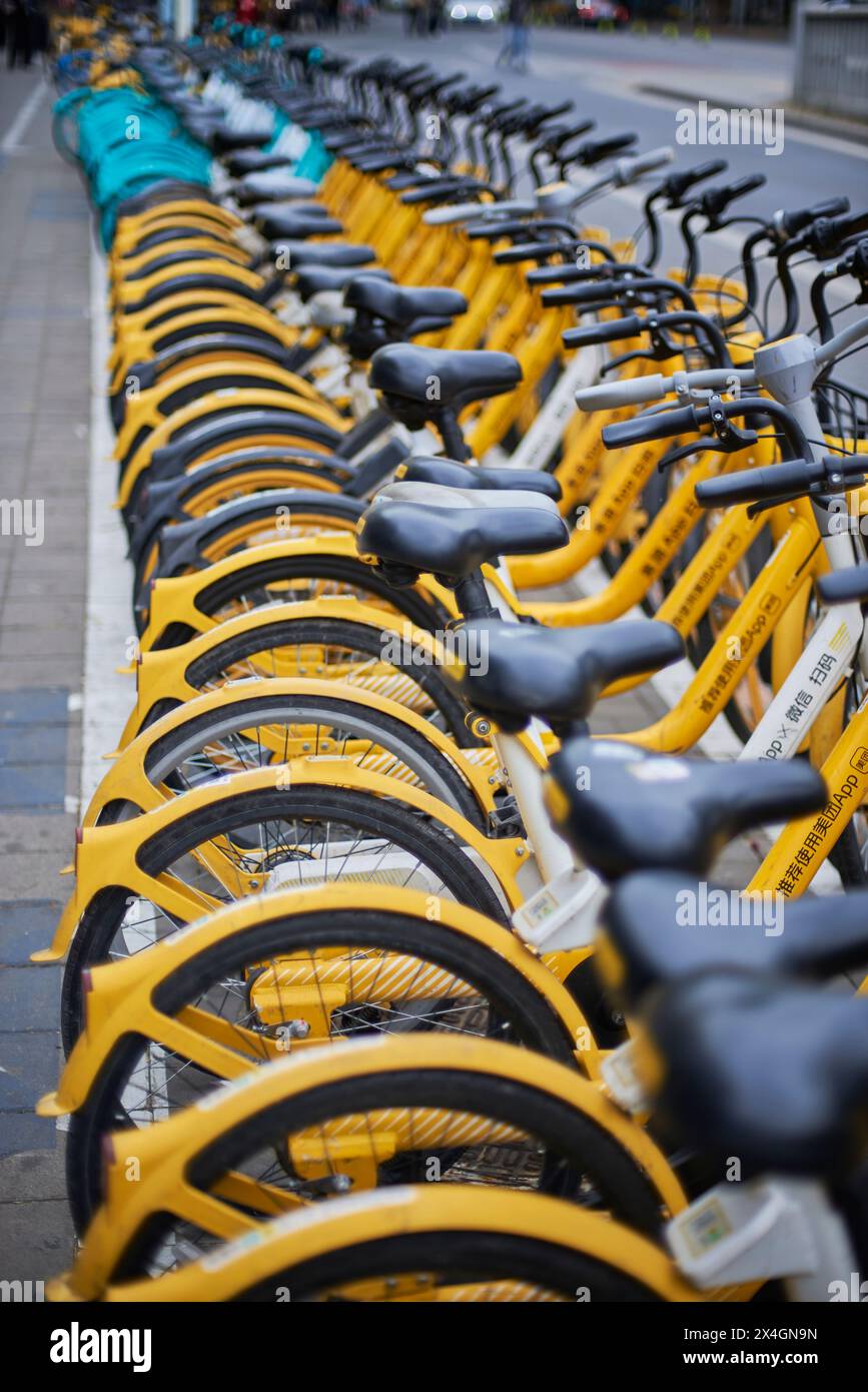 Rows of public bicycles operated by app sharing system in Beijing, China on 19 April 2024 Stock Photo