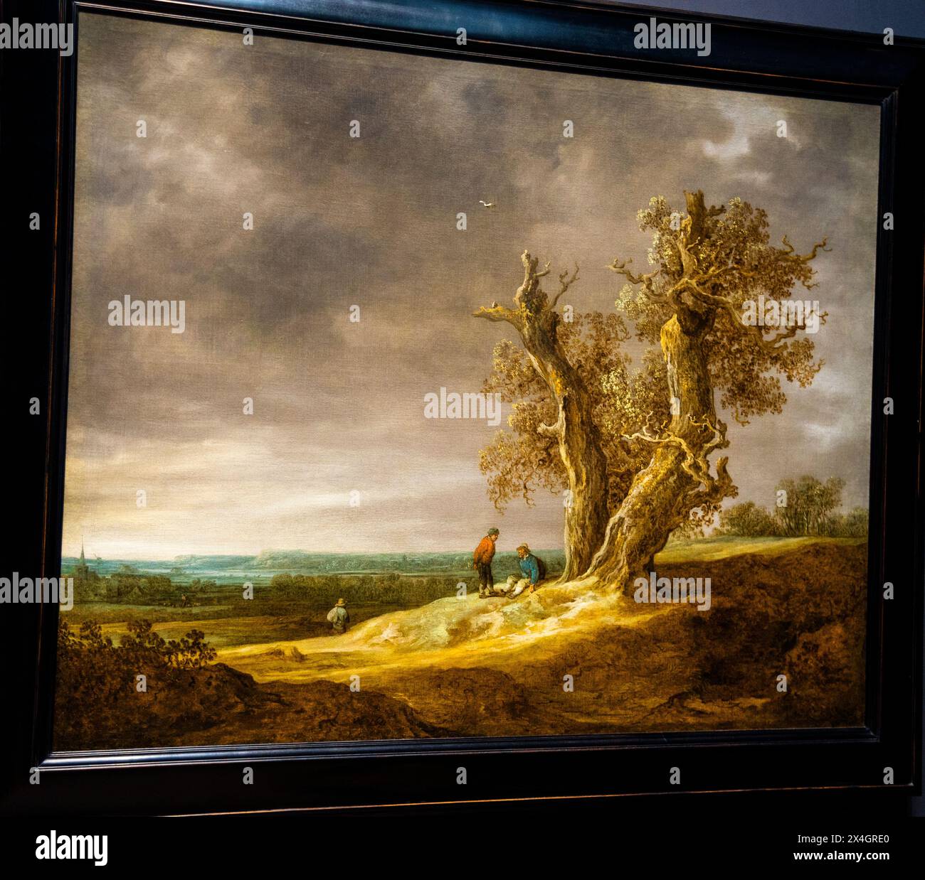 Landscape two oaks jan van hi-res stock photography and images - Alamy