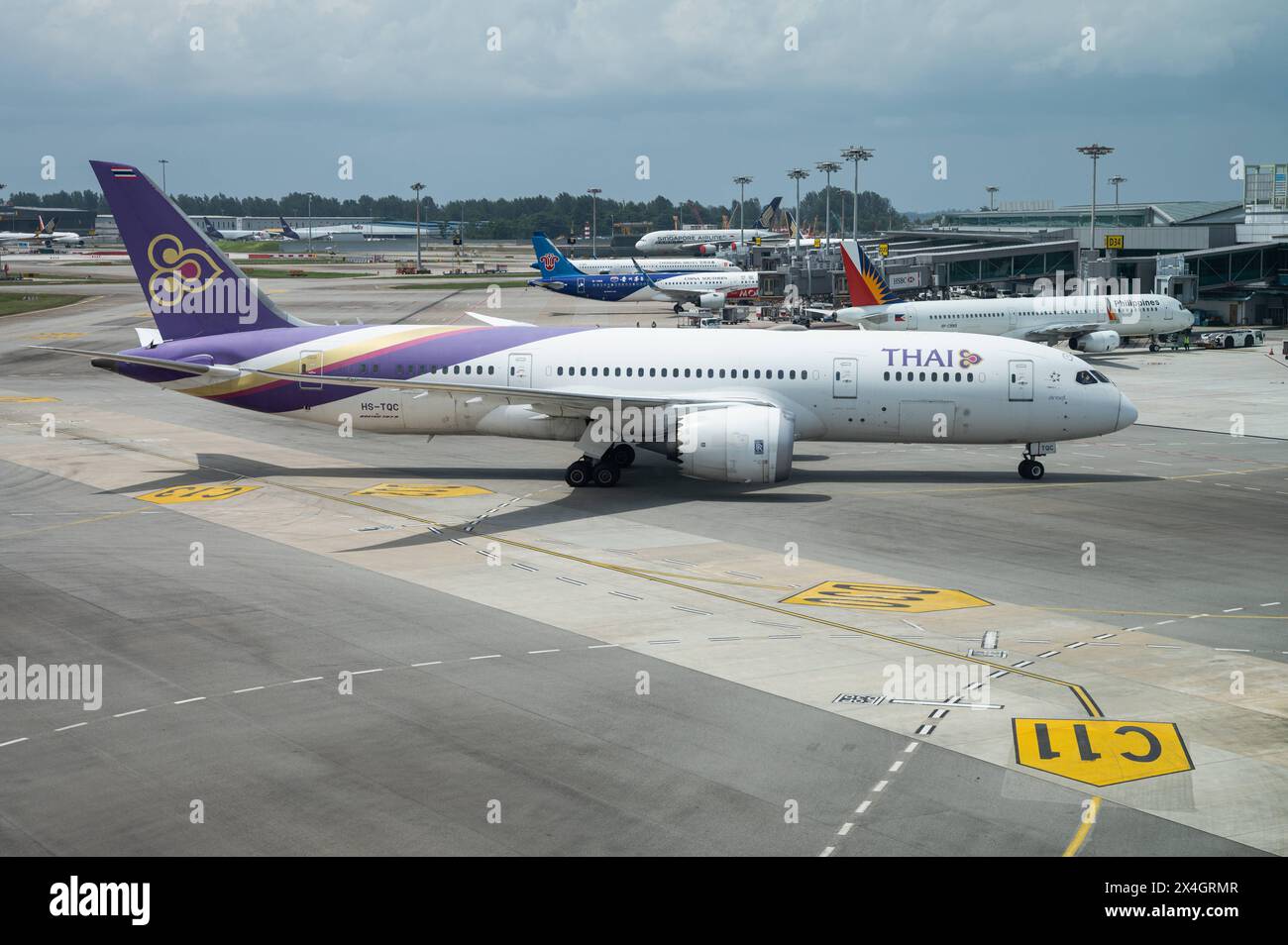 Phoenix Thai Airways タイ航空B787-8 Amazon | Phoenix 1:200 完成品 Thai Airways International for