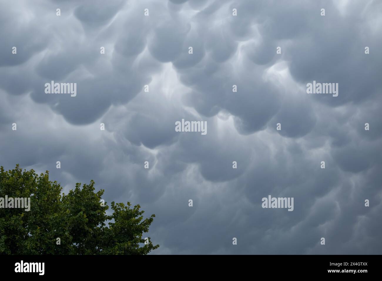 Dramatic Mammatus clouds in the sky after a storm Stock Photo - Alamy