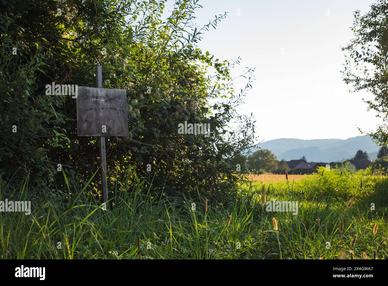 Empty blank wooden sign board on a pole in a forest Stock Photo - Alamy
