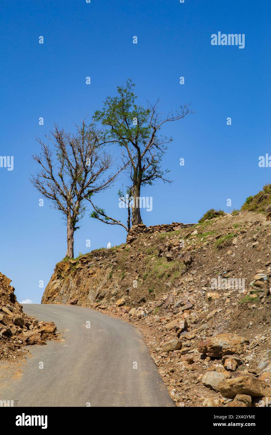 Pakistan Mian Rohan Mian village hi-res stock photography and images - Alamy