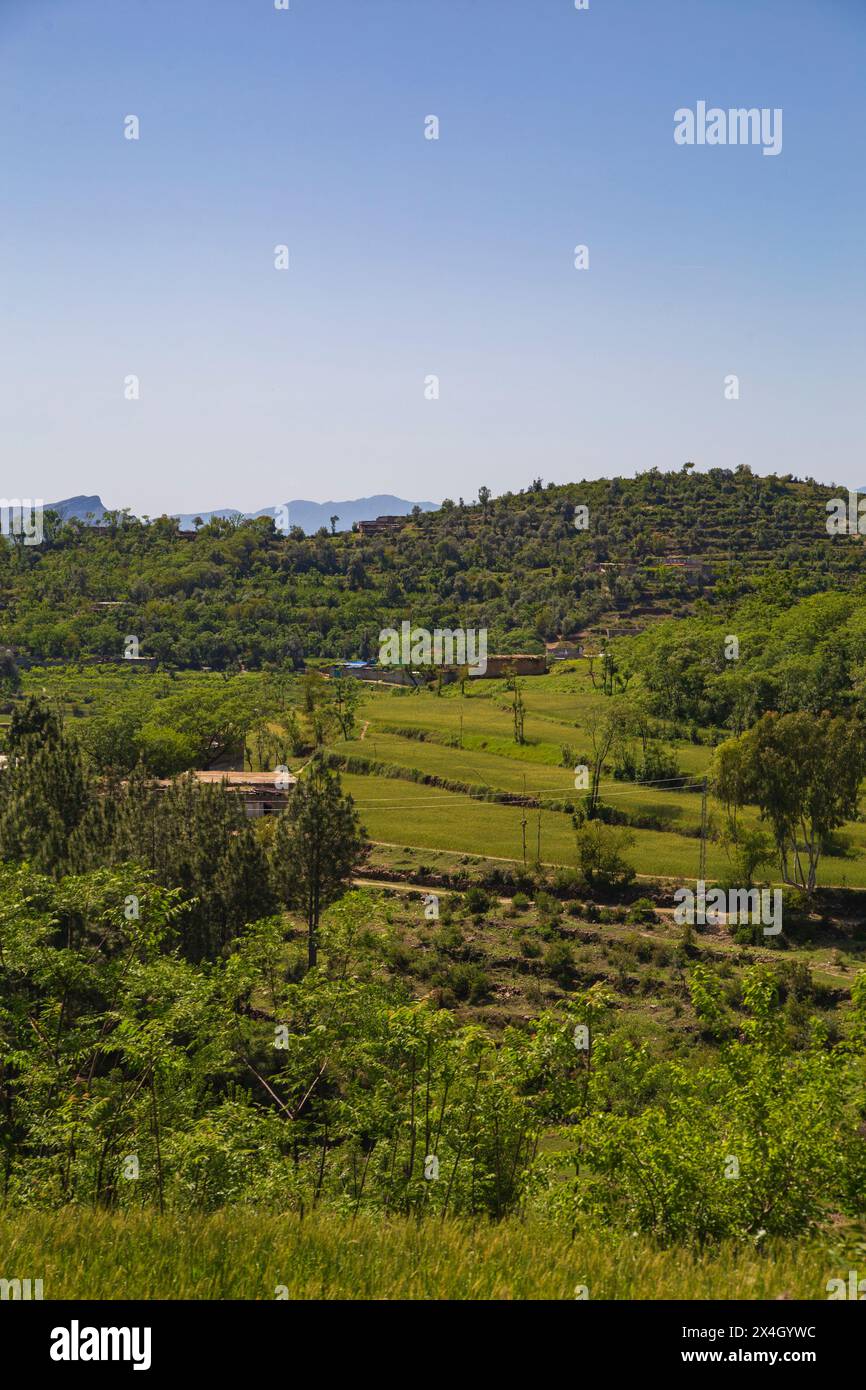 Pakistan Mian Rohan Mian village hi-res stock photography and images - Alamy