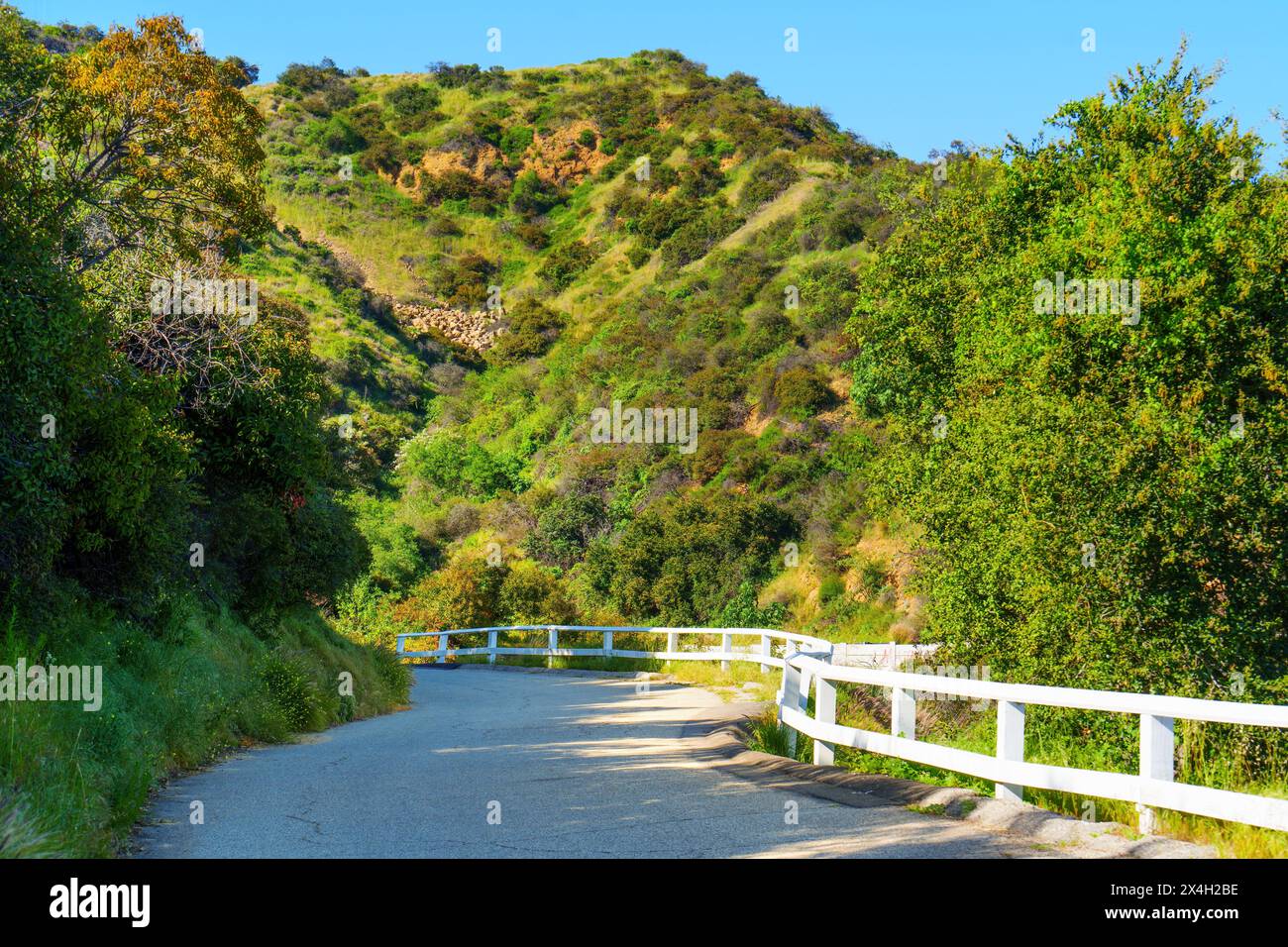 Where the Stars Come to Play: A Glimpse into the Lives of Hollywood Hills Residents on Blue Jay Way