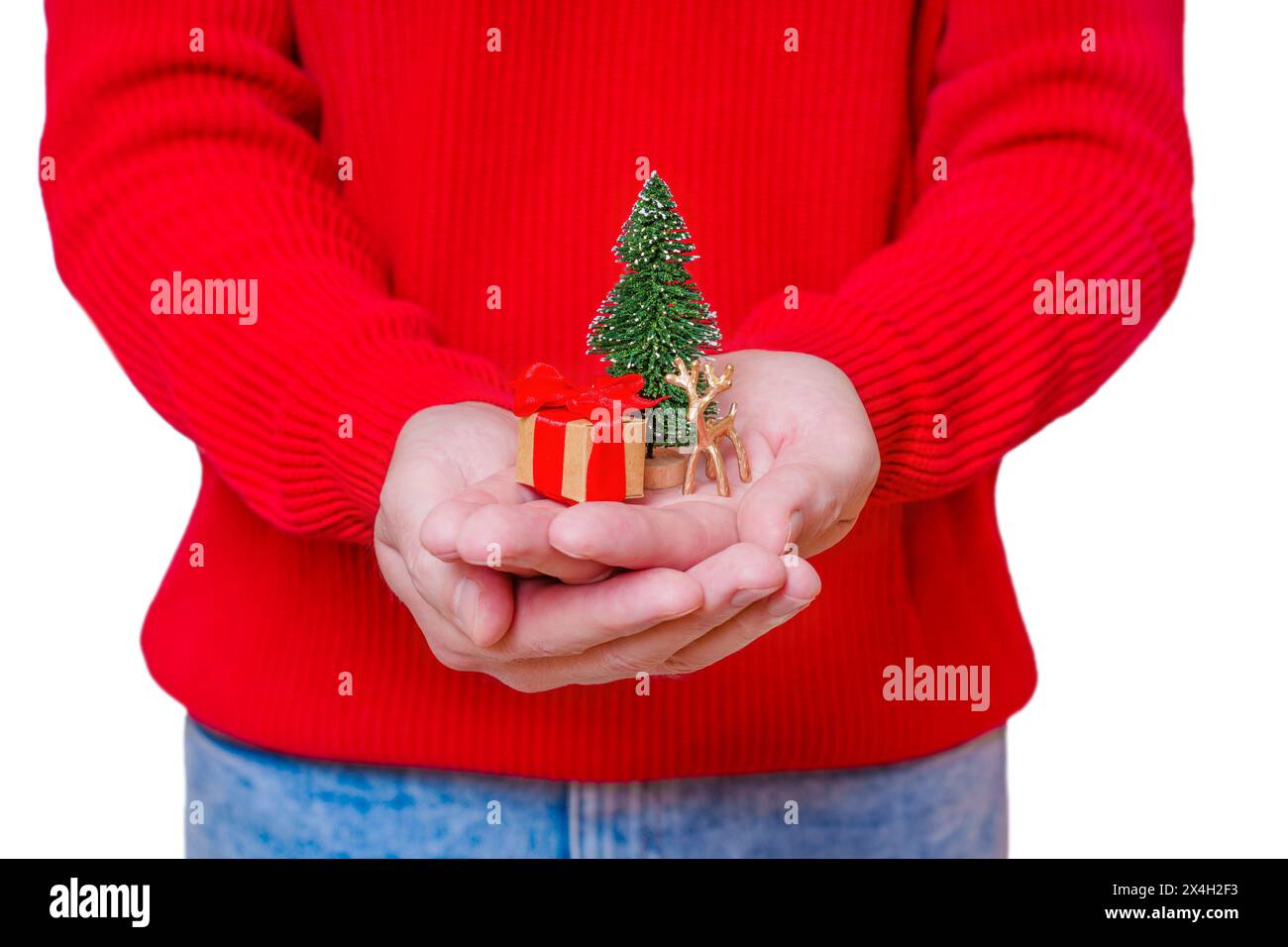 Man in red sweater and blue jeans holds a miniature Christmas scene in cradled hands including a tiny New Year tree figurine, reindeer and gift box. Stock Photo