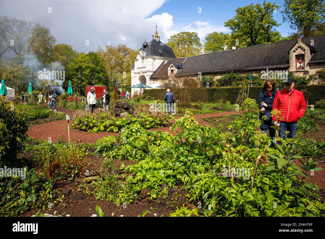 Ceres medicinal plant garden at castle Tuernich, Kerpen-Tuernich, North Rhine-Westphalia, Germany. Ceres Heilpflanzengarten auf Schloss Tuernich, Kerp Stock Photo