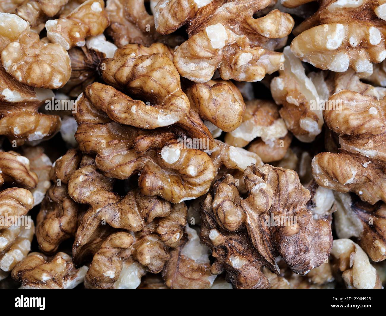 Walnuts: Supermarket treasure, rich in omega-3 fatty acids. Ideal for snacking, baking, salads. Strengthens heart, brain, skin. Stock Photo