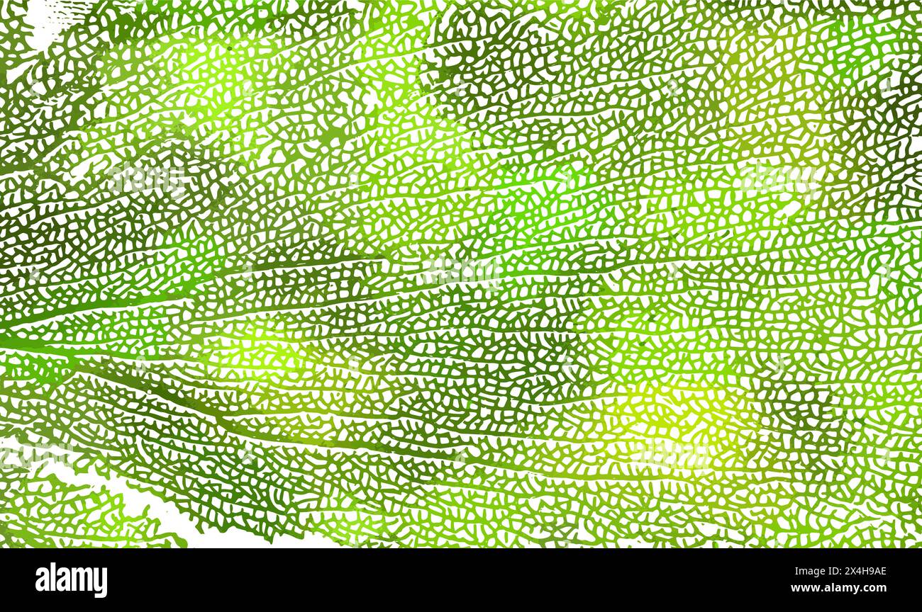 Skeleton green leaf background. Not AI. Vector illustration Stock Vector