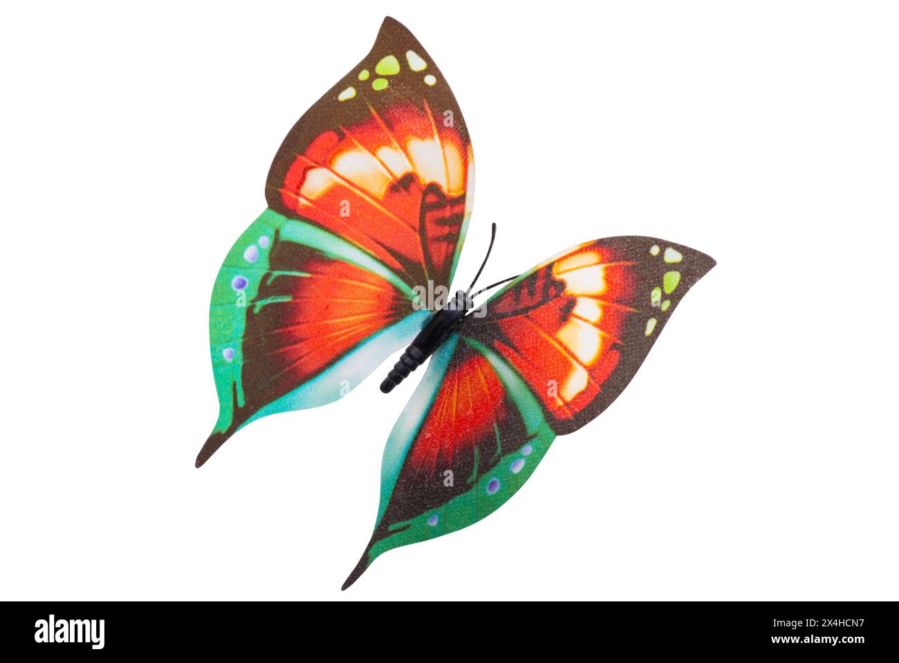 butterflies isolated on white background Stock Photo - Alamy
