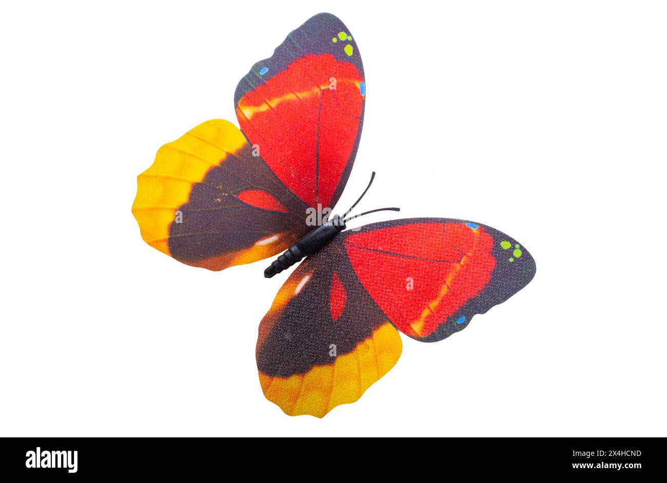 butterflies isolated on white background Stock Photo - Alamy