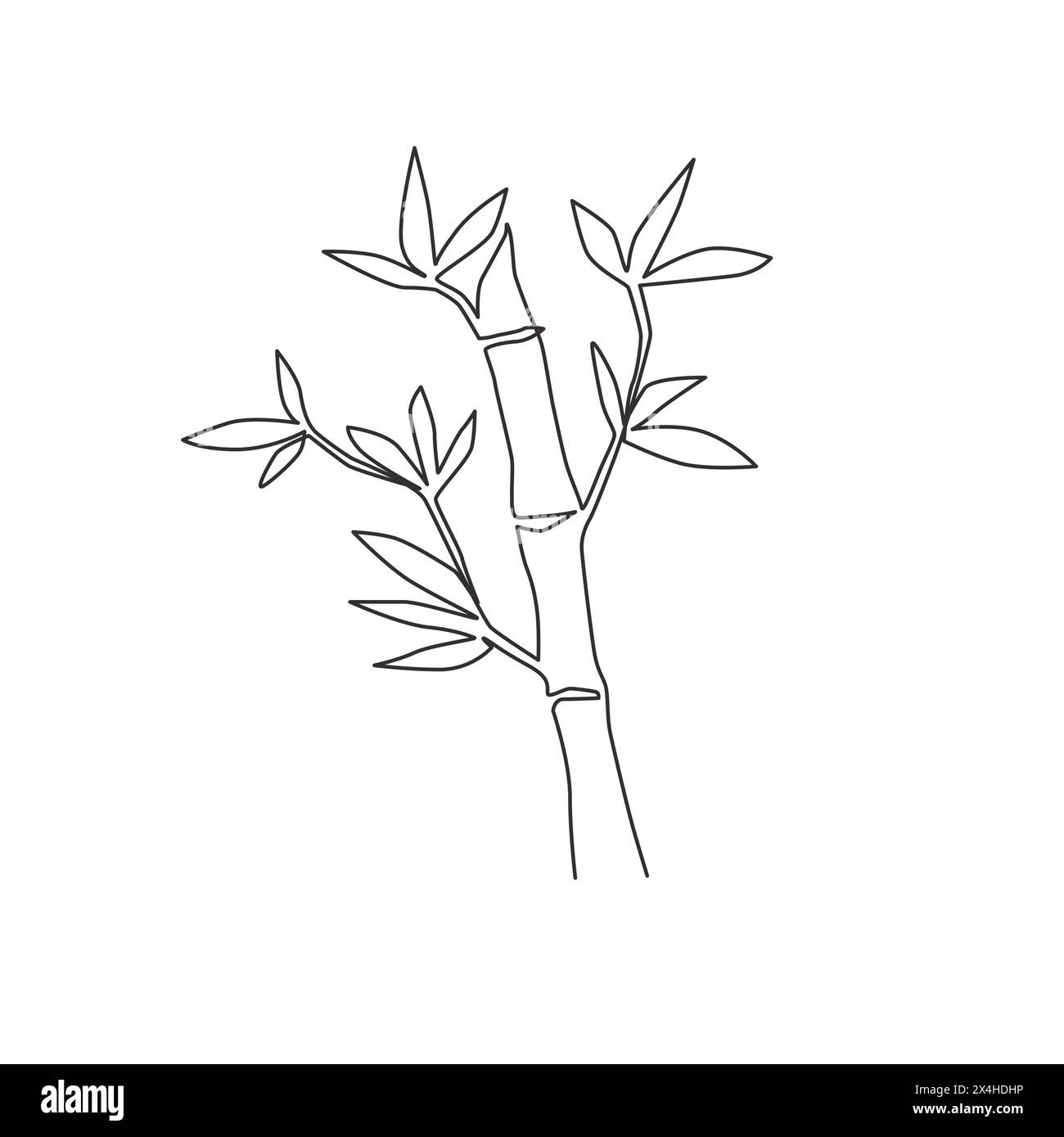 One single line drawing of bamboo trees for plantation logo identity