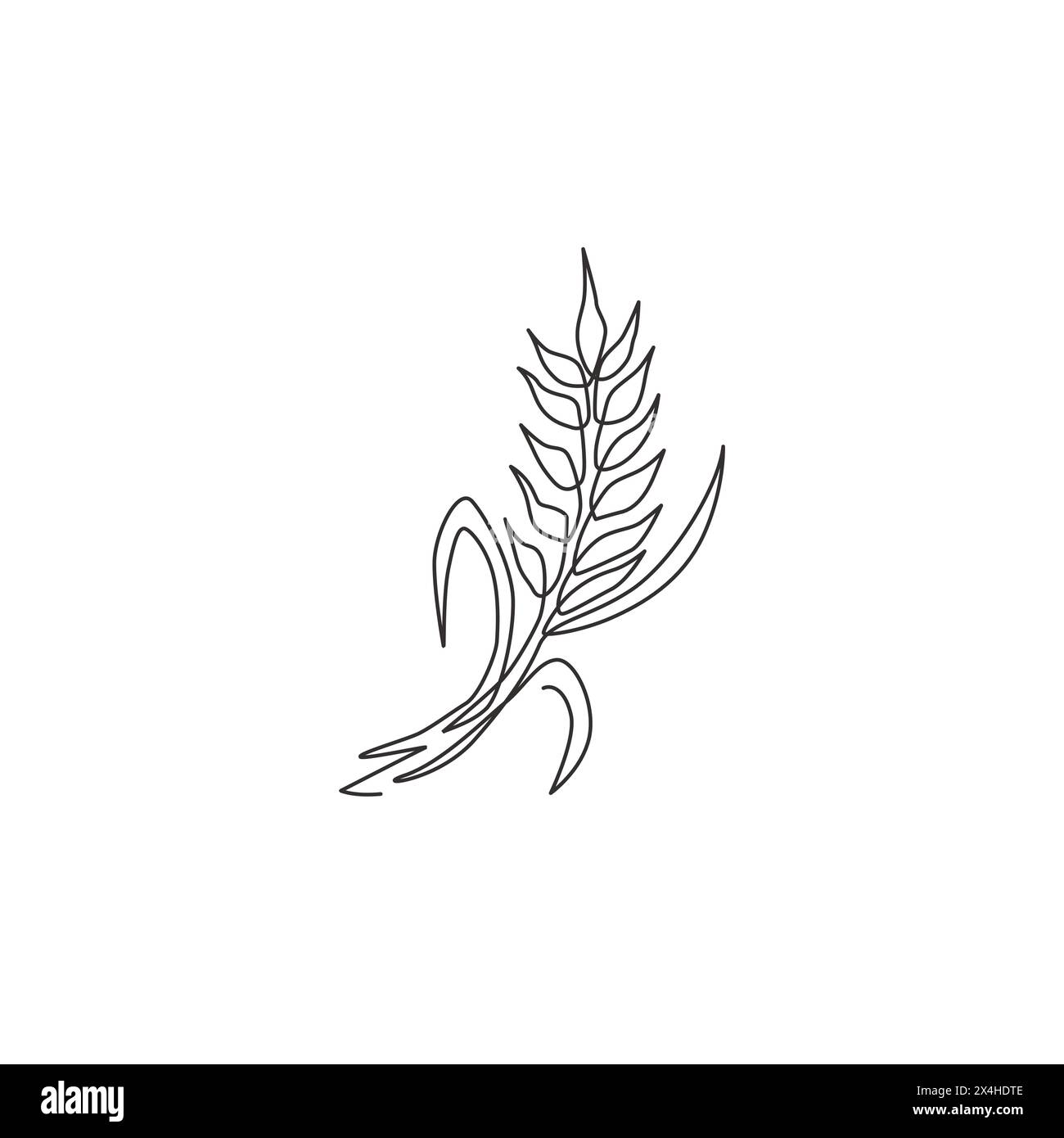 One continuous line drawing of whole healthy organic wheat grain for 