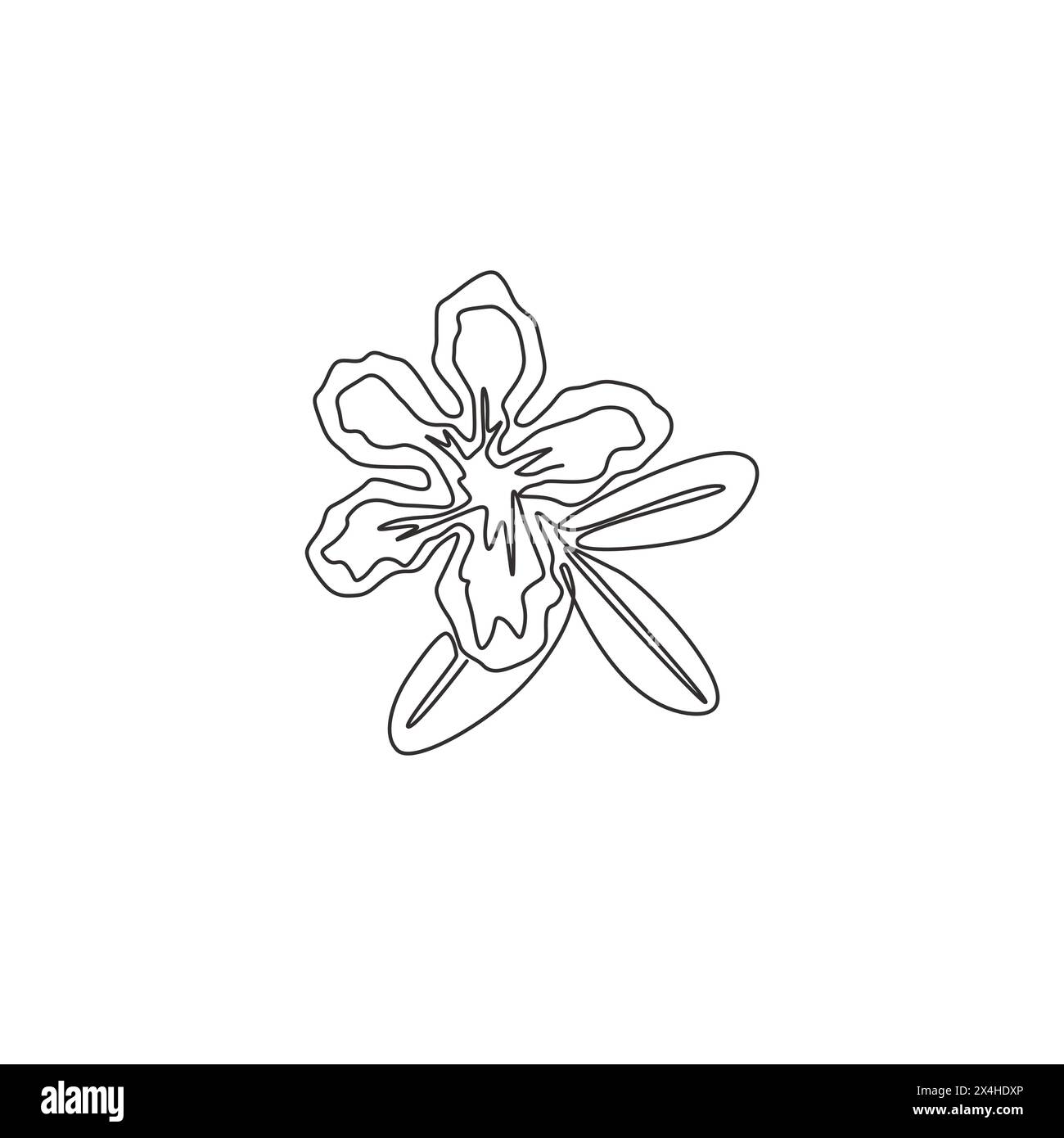 One single line drawing of fresh beauty adenium for garden logo. Printable poster decorative desert rose flowers concept home wall decor. Modern conti Stock Vector