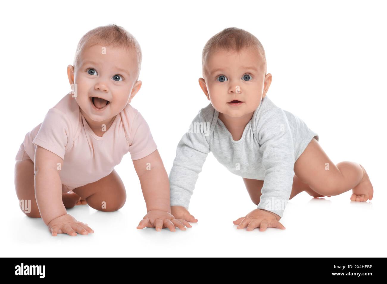 Portrait of cute twin babies on white background Stock Photo