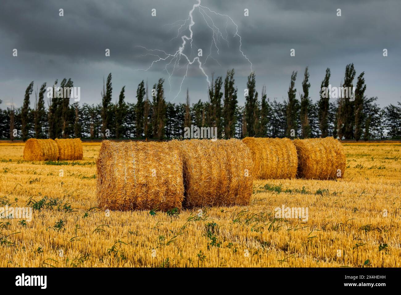 Hay bales in field under stormy sky with lightnings Stock Photo - Alamy