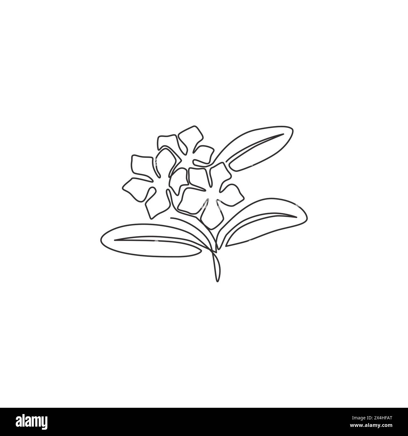 Single continuous line drawing of beauty fresh vinca for home wall art decor poster. Printable decorative periwinkle flower for greeting card ornament Stock Vector