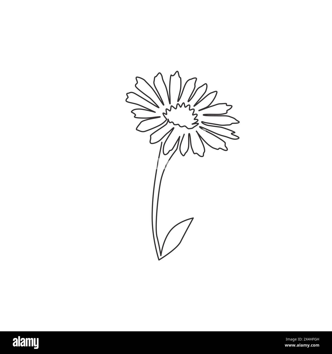 Single continuous line drawing of beauty fresh bellis perennis for home wall decor poster art. Printable decorative common daisy flower concept. Moder Stock Vector