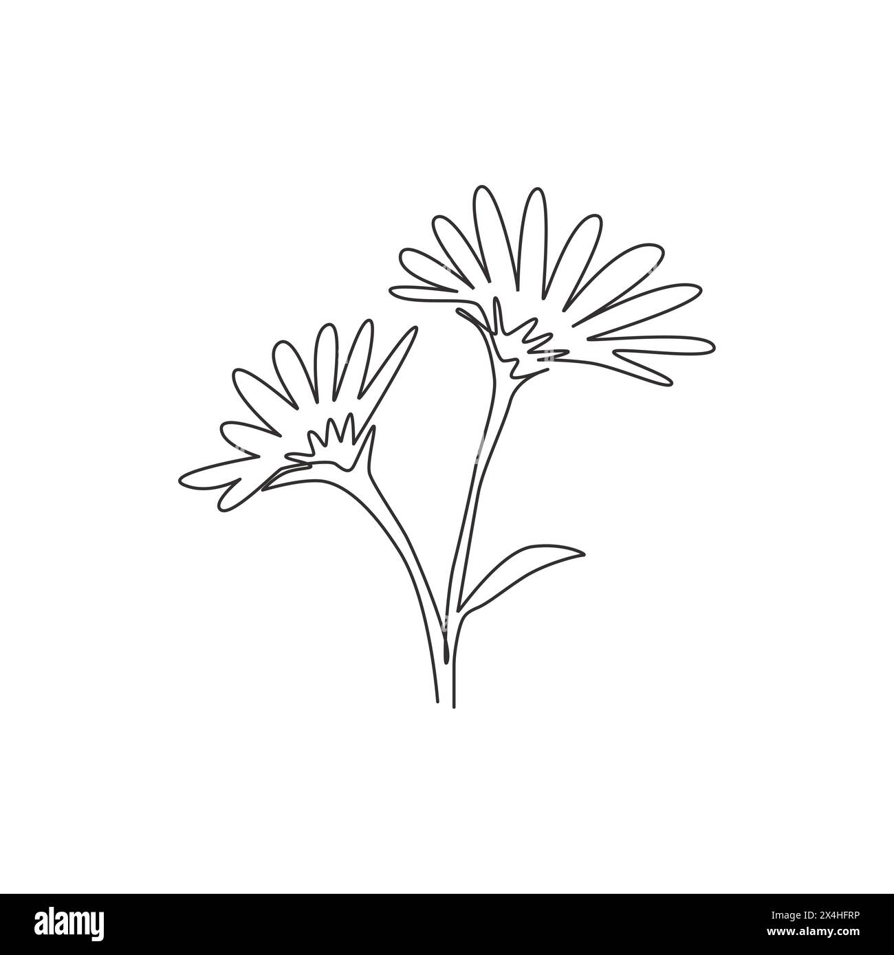 Single Continuous Line Drawing Of Beauty Fresh Perennial Plant For Home