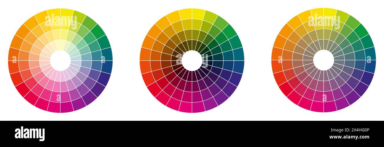 Colour palette wheel - RYB model, circle divided into 24 shades, version with different light, dark and saturation Stock Vector