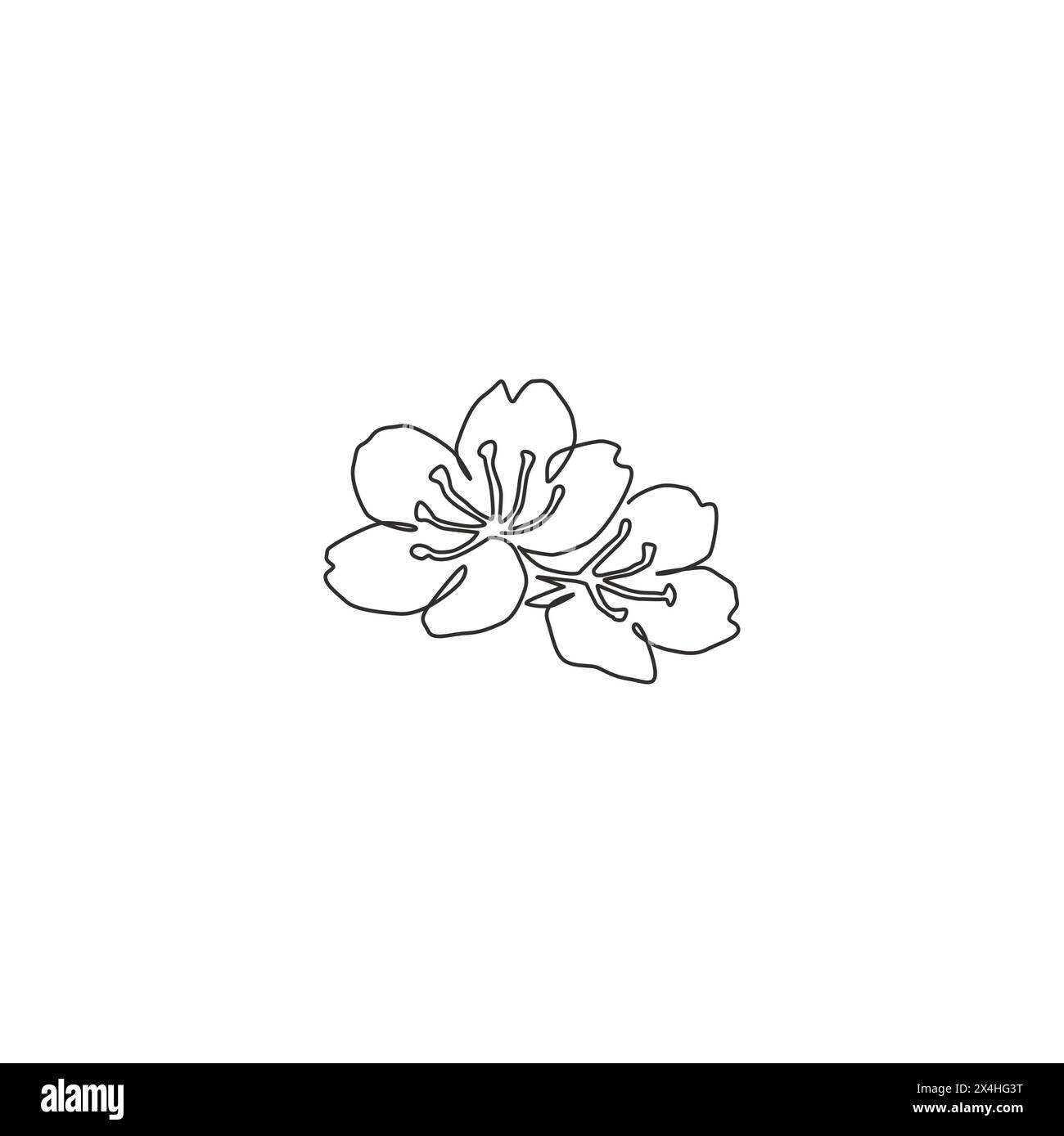 Single continuous line drawing of beauty fresh cherry blossom for home decor wall art poster print. Printable decorative sakura flower for greeting ca Stock Vector