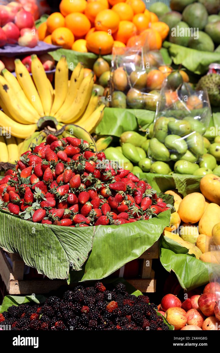 Full frame, no people -colourful, contrasting wide variety of fresh fruits on display at Antigua market, Guatemala, Central America. World Heritage. Stock Photo