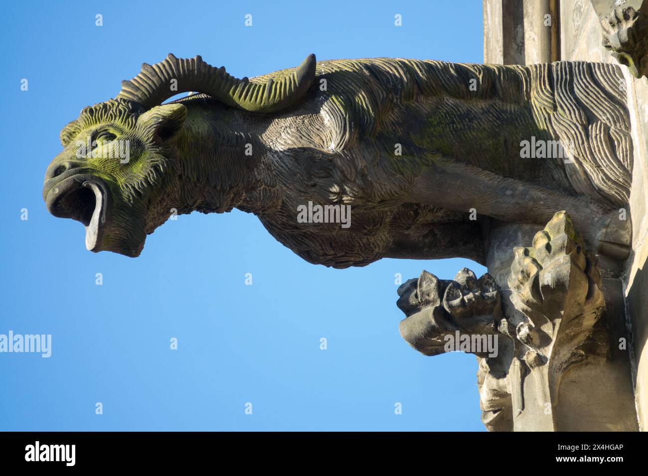 Prague Cathedral Gargoyles Horned detail Castle Stock Photo