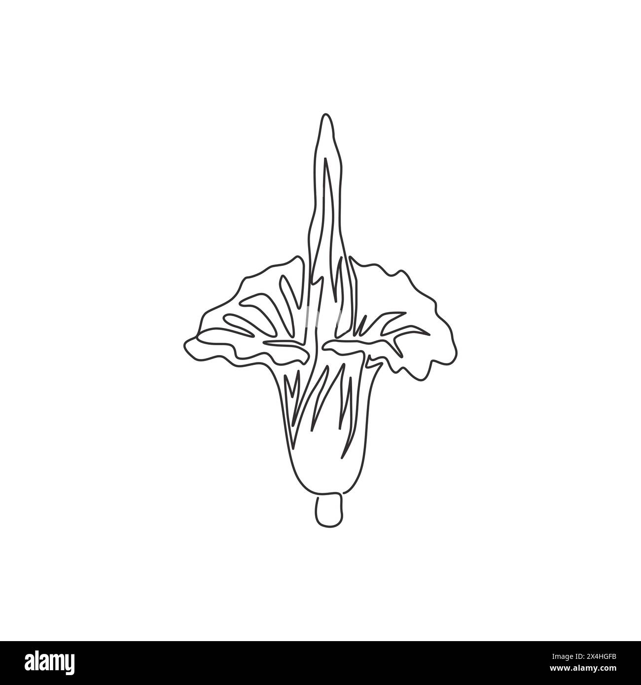 Corpse flower illustration hi-res stock photography and images - Alamy