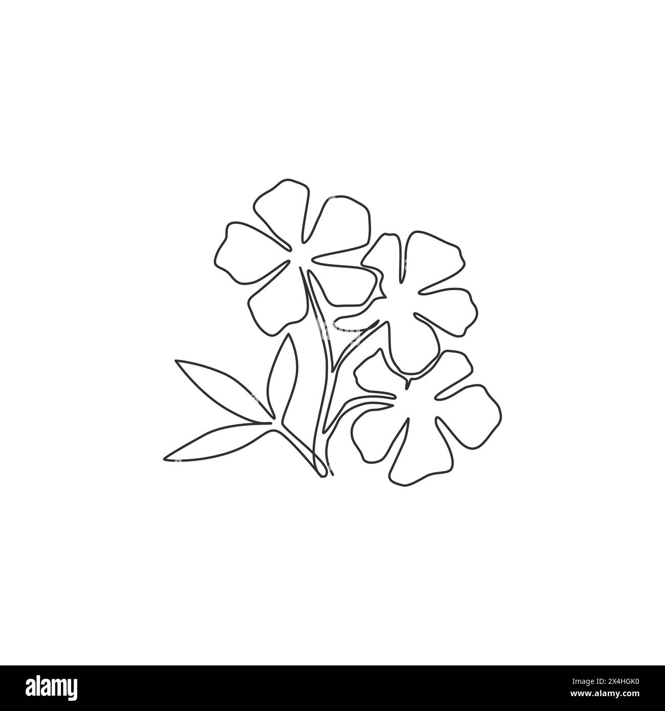 One continuous line drawing beauty fresh catharanthus for home wall decor art poster print Decorative periwinkle flower concept for wedding invitation Stock Vector