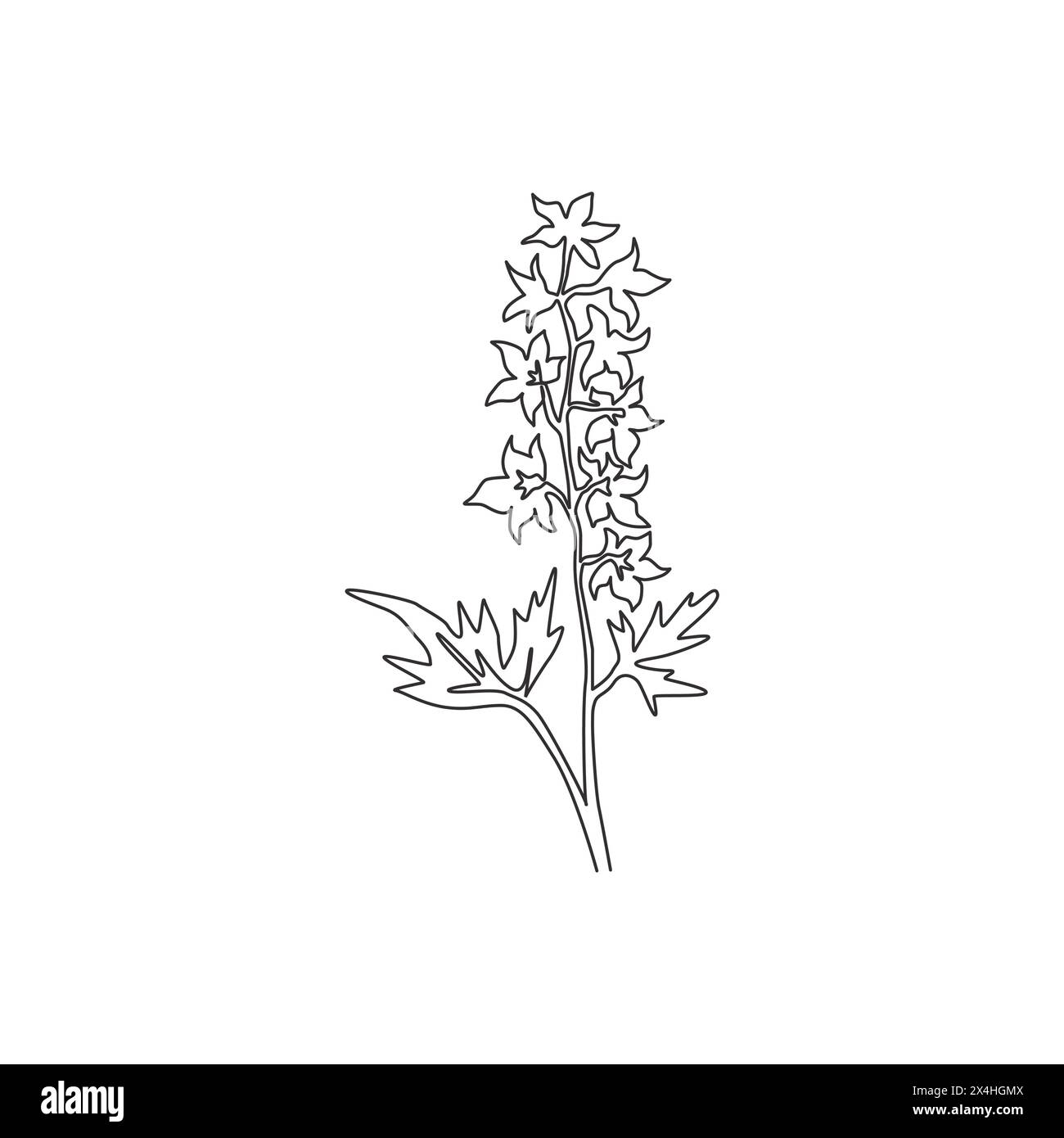 Single one line drawing beauty fresh larkspur for garden logo. Decorative of  perennial delphinium concept for home wall decor art poster print. Moder Stock Vector