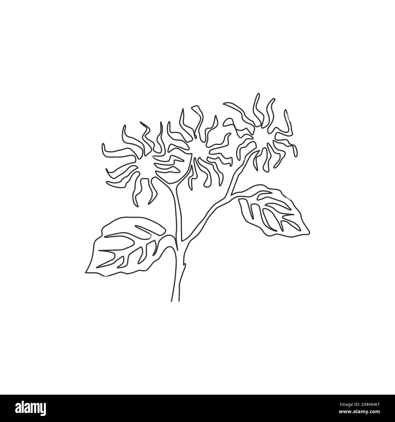 Single one line drawing beauty fresh witch hazels for garden logo. Decorative of winterbloom flower concept for home wall decor art poster print. Mode Stock Vector