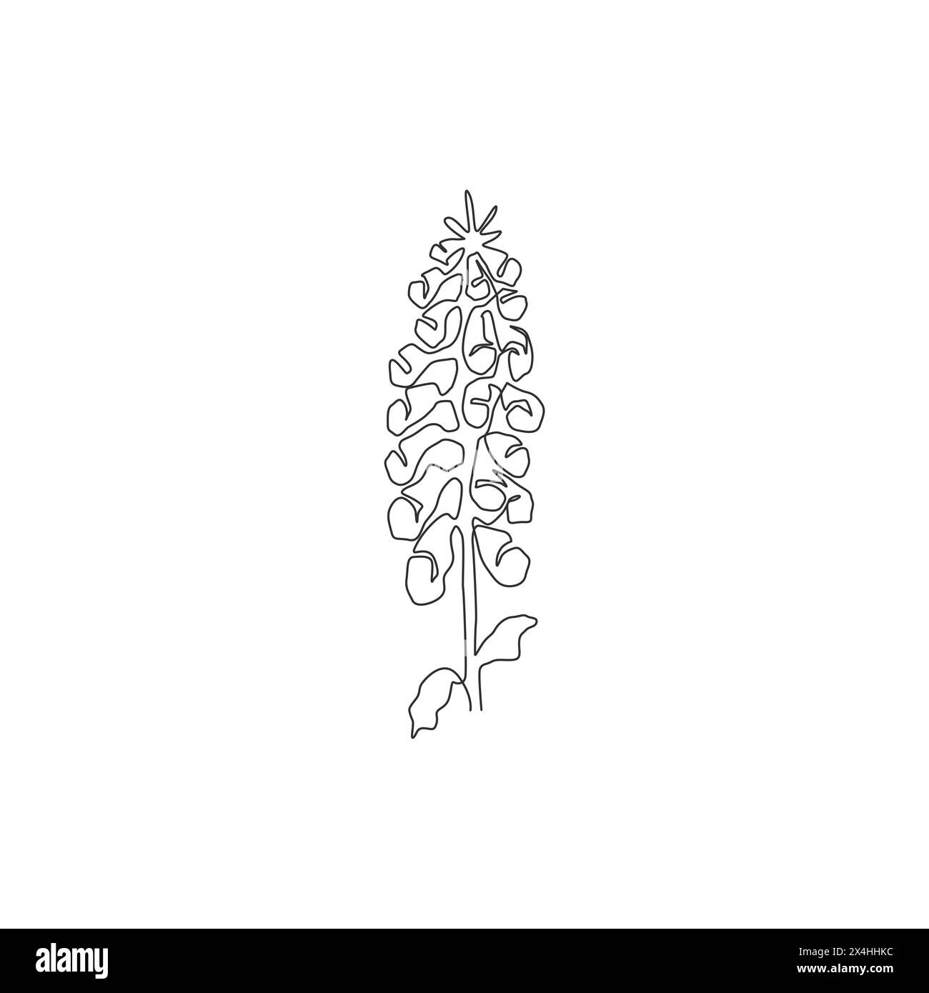 One Continuous Line Drawing Of Beauty Fresh Digitalis Purpurea For Home one-continuous-line-drawing-of-beauty-fresh-digitalis-purpurea-for-home