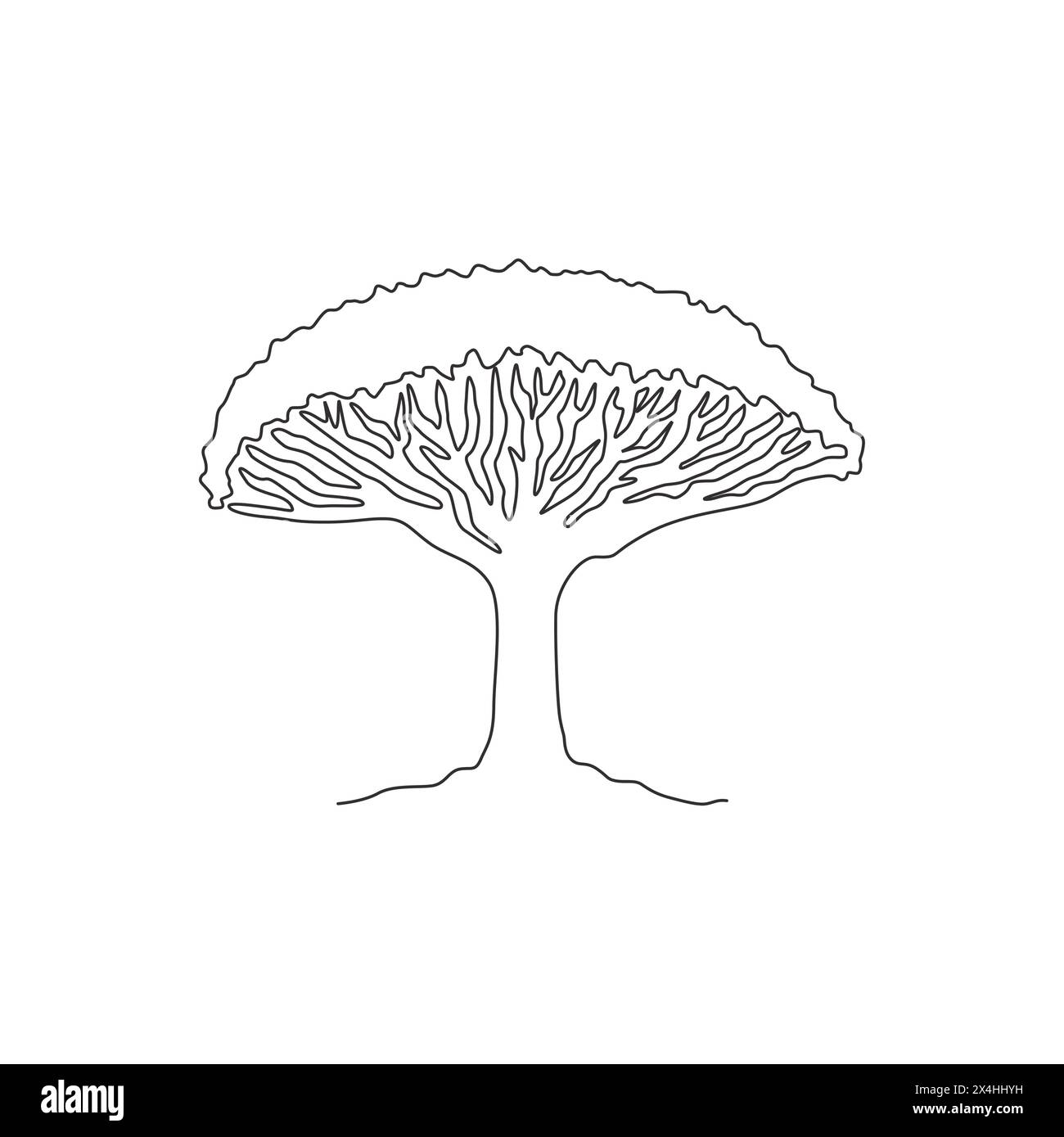 single-continuous-line-drawing-beauty-and-exotic-dragon-blood-tree-for