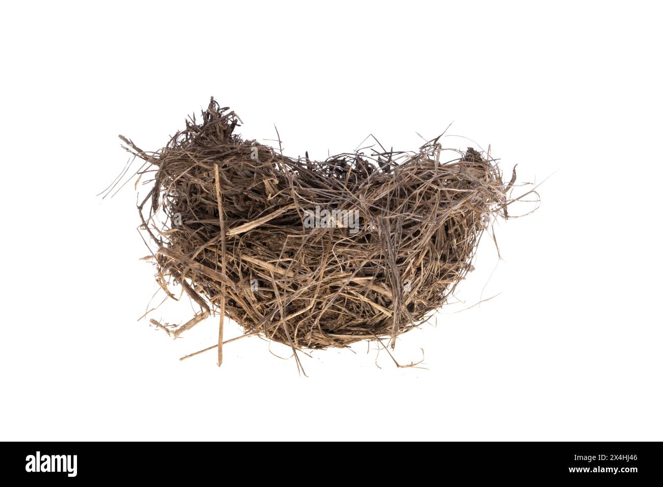 bird nest isolated on white background Stock Photo - Alamy