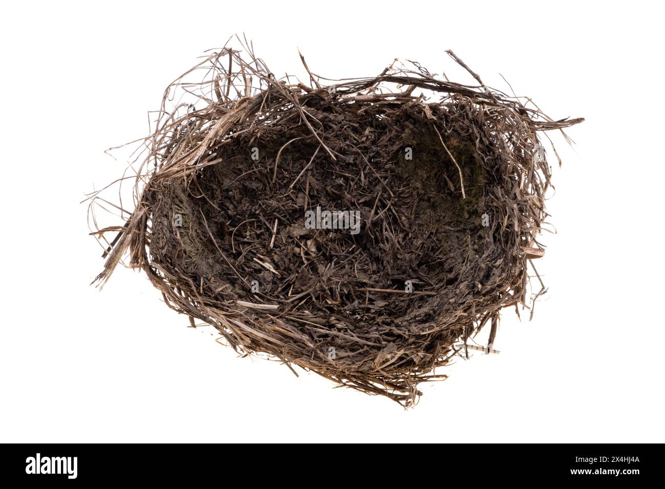 bird nest isolated on white background Stock Photo - Alamy