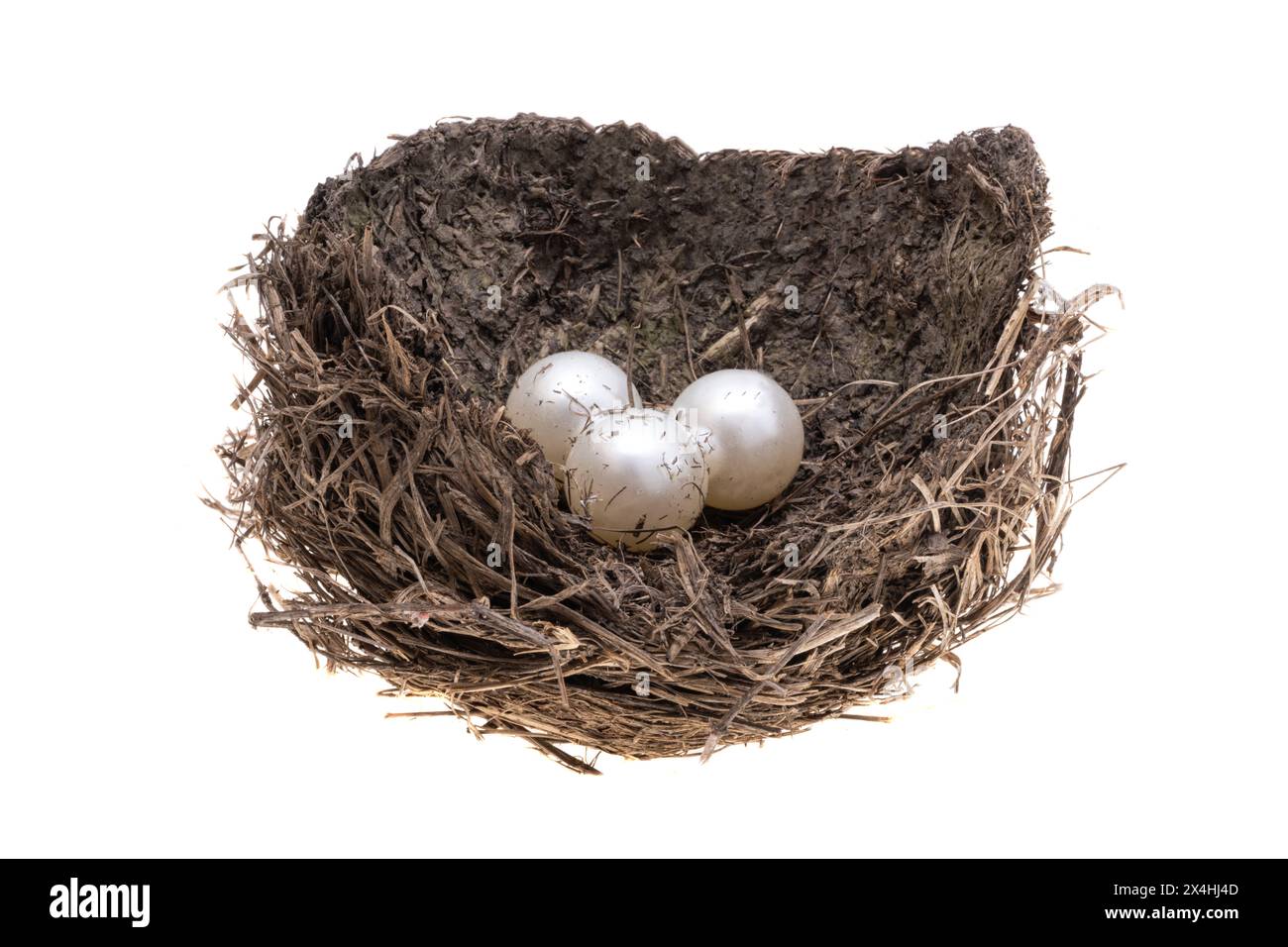 bird nest isolated on white background Stock Photo - Alamy