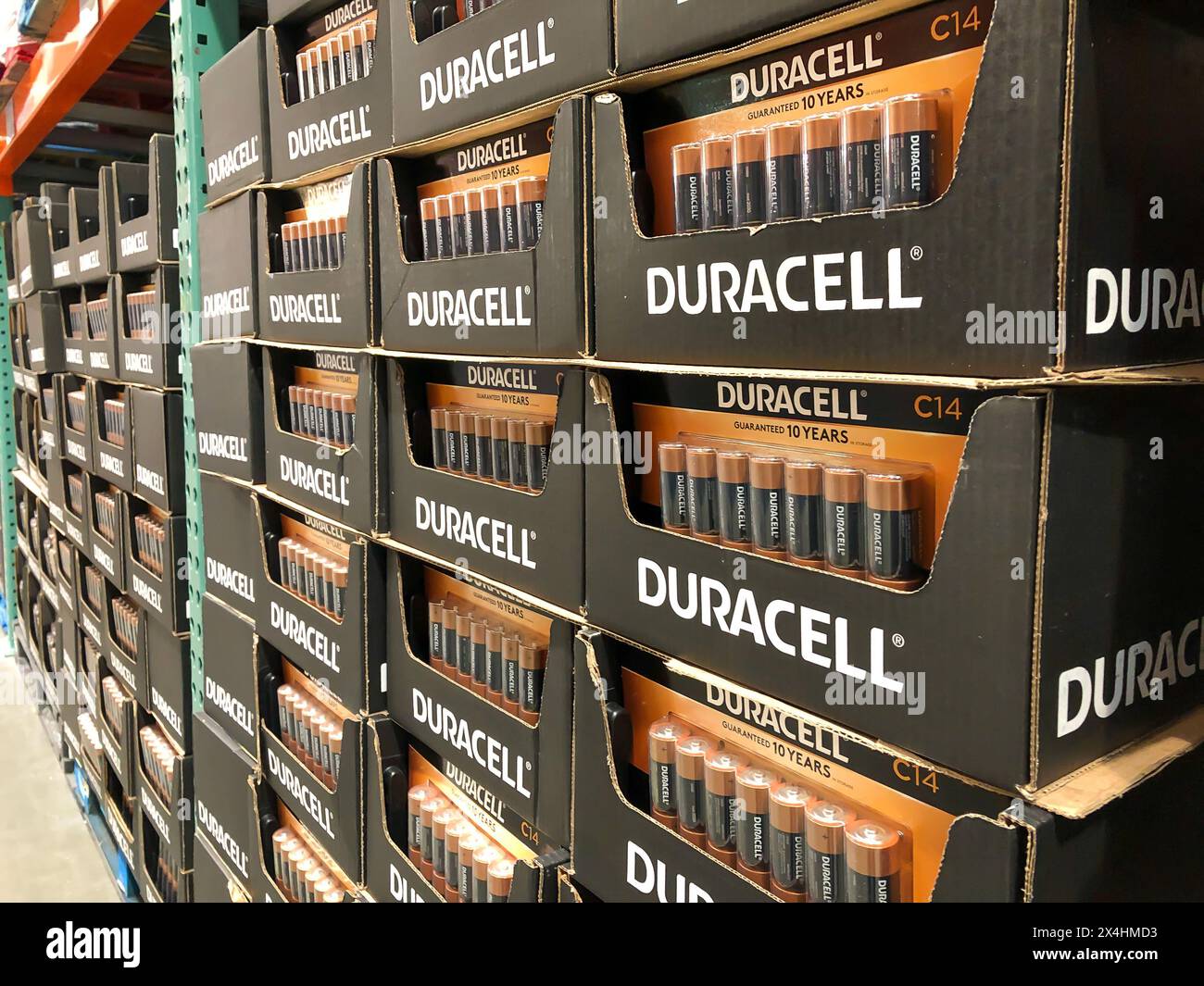 BAXTER, MN - 3 FEB 2021: Display of Duracell C Batteries for sale. Black and gold alkaline battery in pack of 14 on a pallet in a member warehouse sto Stock Photo
