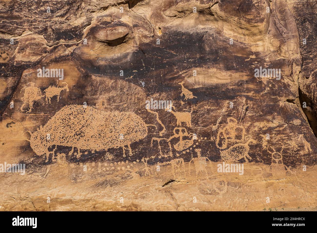 Big Buffalo petroglyphs, Nine Mile Canyon, Utah Stock Photo - Alamy