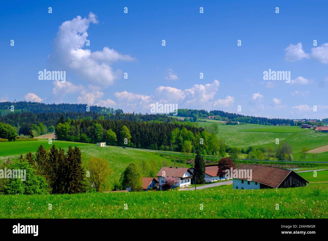 Landscape near Zwickledt, near Wernstein am Inn, Innviertel, Upper Austria, Austria, Europe Stock Photo