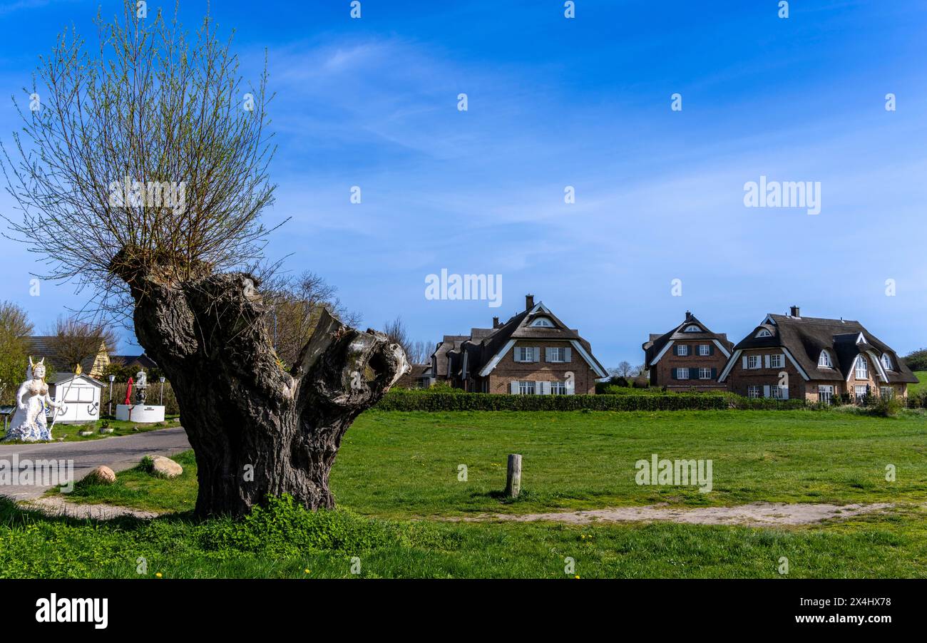 Holiday home development on the Baltic Sea beach, Ruegen, Mecklenburg-Vorpommern, Germany Stock Photo