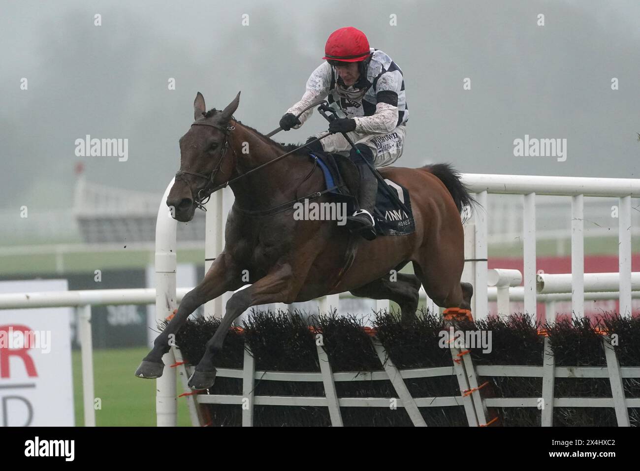 Ballyburn ridden by Paul Townend jumps the last on the way to winning the Alanna Homes Champion Novice Hurdle during day four of the Punchestown Festival at Punchestown Racecourse, County Kildare. Picture date: Friday May 3, 2024. Stock Photo