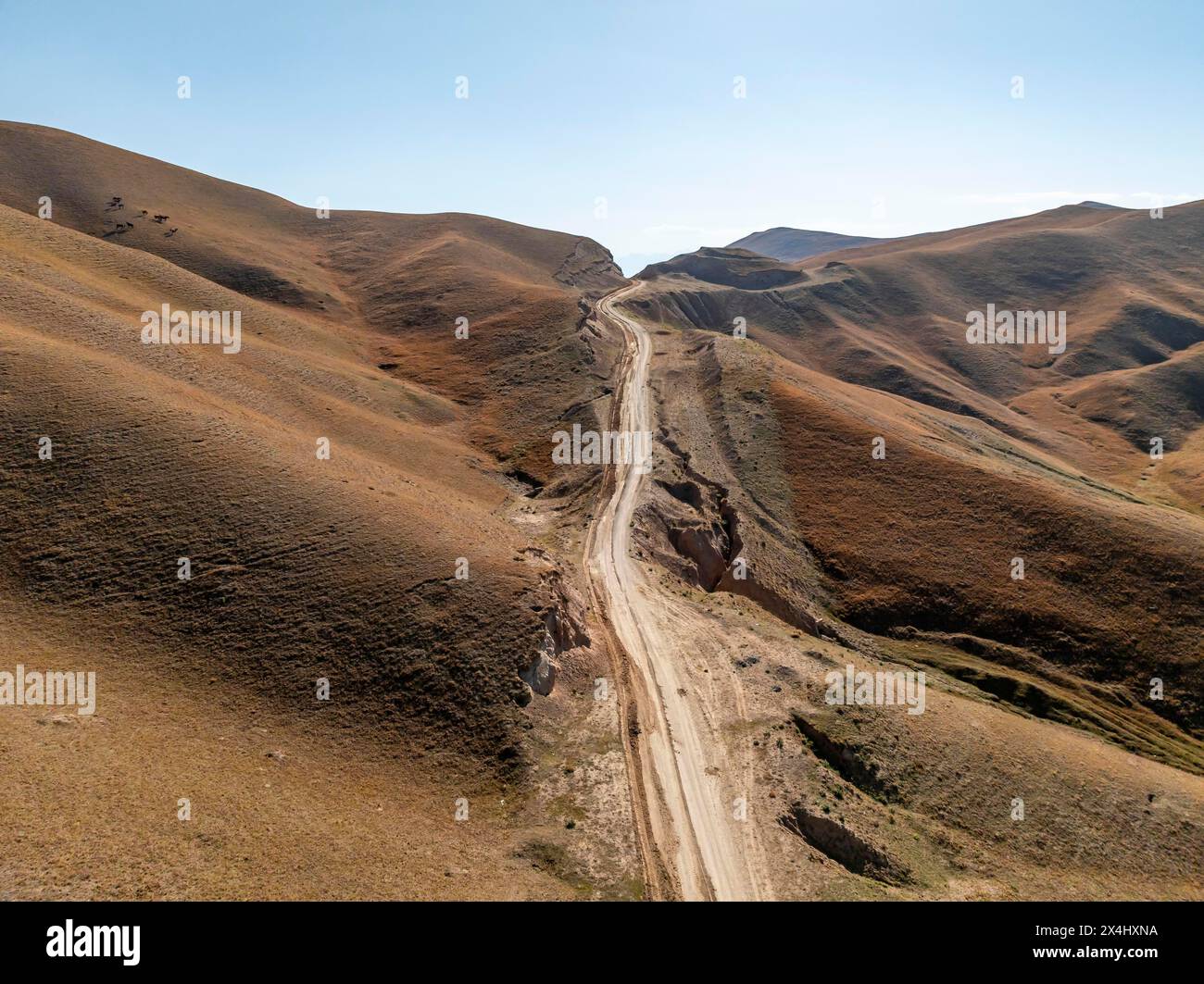 Moldo-Ashuu Pass, rutted road between yellow hills, near Baetov, Naryn region, Kyrgyzstan Stock Photo