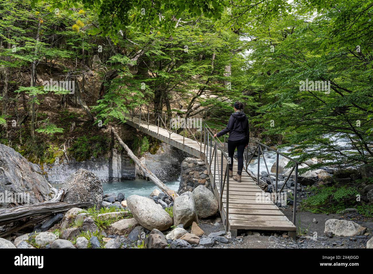 Young woman walking on bridge over meltwater stream, Base of Torres del Paine Hike, Torres de Paine, Magallanes and Chilean Antarctica, Chile, South A Stock Photo