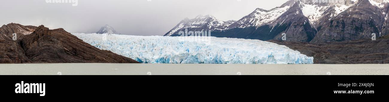 Grey Glacier, Torres de Paine, Magallanes and Chilean Antarctica, Chile Stock Photo