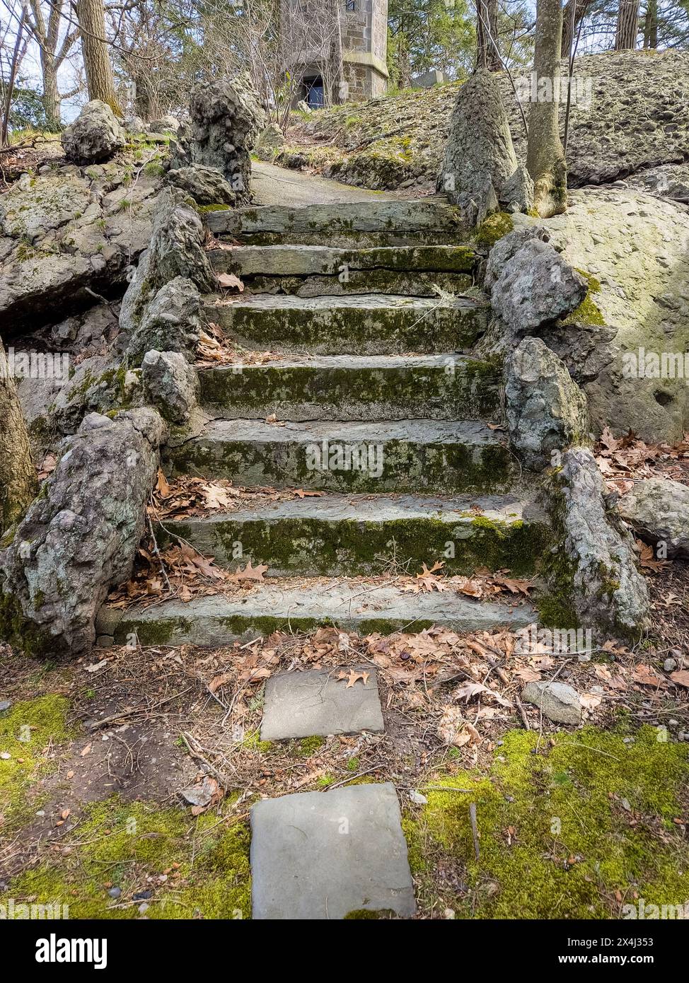 Mossy stone steps in the woods Stock Photo - Alamy