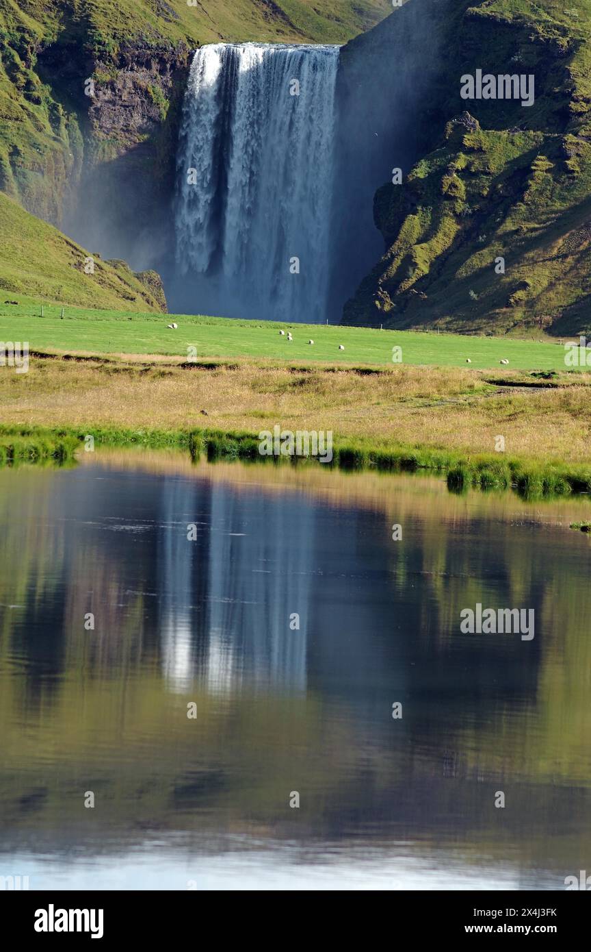 Water masses plunge vertically into the depths, reflection in the water, green landscape, Skogafoss, Iceland Stock Photo